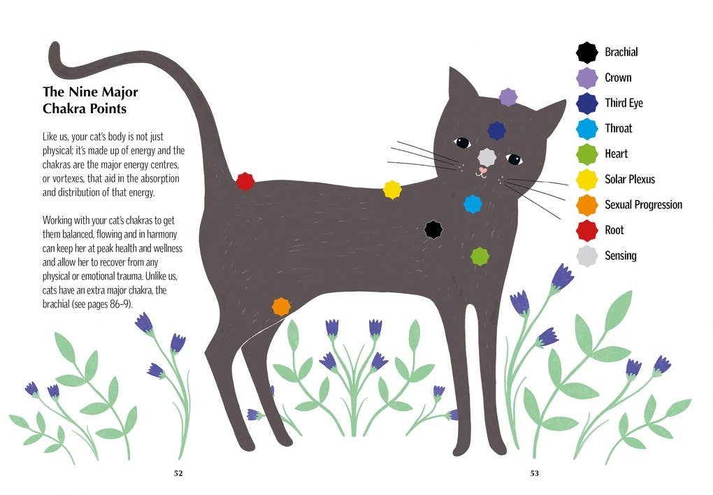 Chakra Healing For Cats (Chakra Healing for Pets #1)