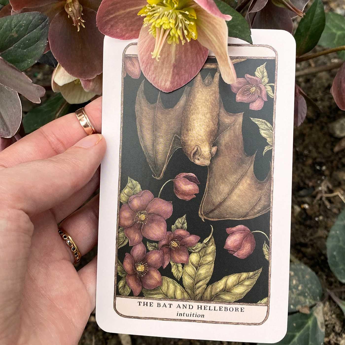 Woodland Wardens: 52-Card Oracle Deck & Guidebook