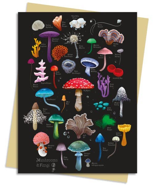 Anna Stead: Mushrooms & Fungi Greeting Card